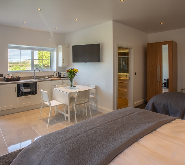 LOUGH DERG ROOM